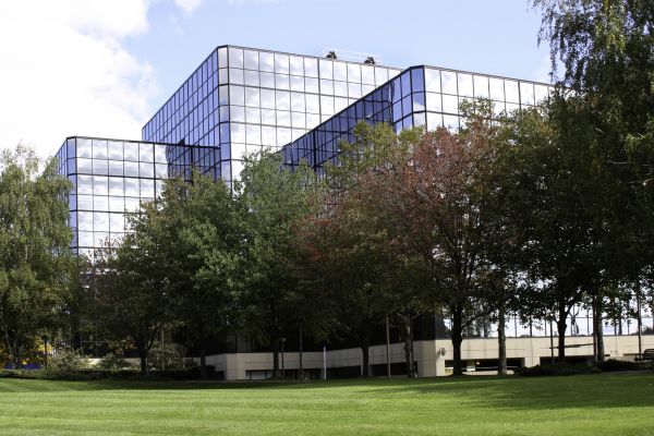 Commercial Tree Trimming in Reading