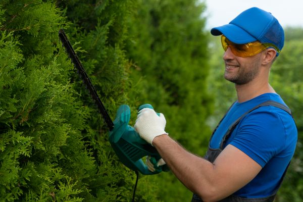 Tree Shaping Service in Reading