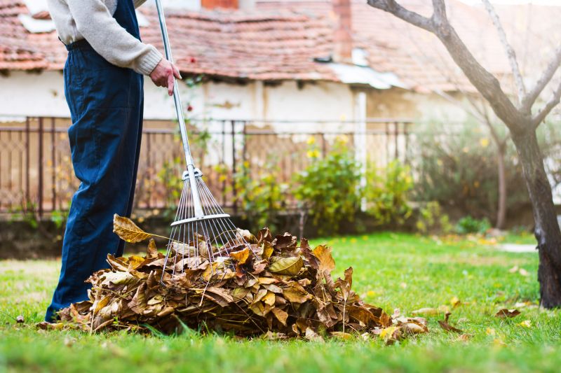 Leaves Being Raked into Piles