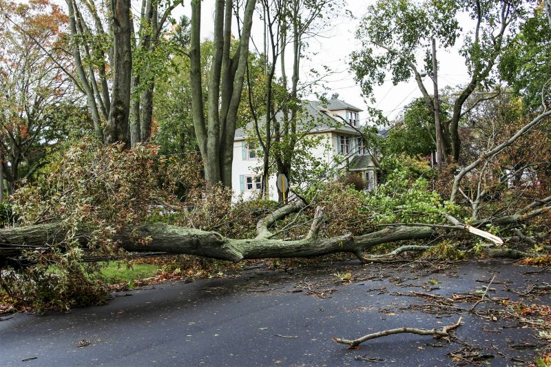 Storm Damage Landscape